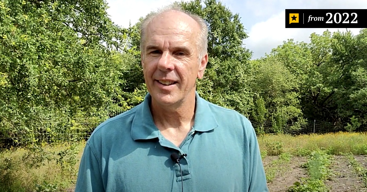 A GOP candidate for Congress wrote a novel about Anne Frank finding